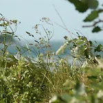 Ferienbauernhof Liesenberg Jagdreihenhaus Wildente Fehmarn