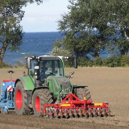 Ferienbauernhof Liesenberg Jagdreihenhaus Wildente * Fehmarn