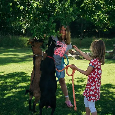 Ferienbauernhof Liesenberg Jagdreihenhaus Wildente بيت للعطل فيهمارن