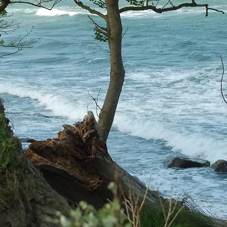 Ferienbauernhof Liesenberg Jagdreihenhaus Wildente بيت للعطل