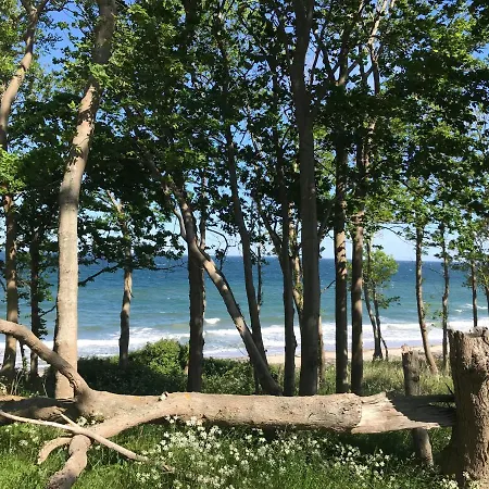 Ferienbauernhof Liesenberg Jagdreihenhaus Wildente
