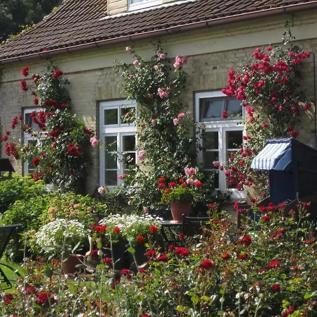Ferienbauernhof Liesenberg Jagdreihenhaus Wildente بيت للعطل *