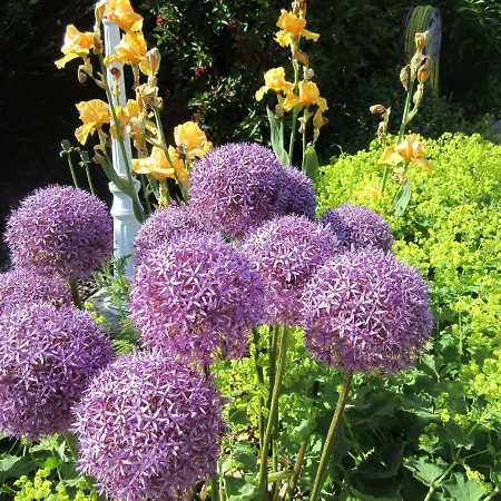Ferienbauernhof Liesenberg Jagdreihenhaus Wildente فيهمارن
