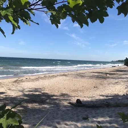 Ferienbauernhof Liesenberg Jagdreihenhaus Wildente *