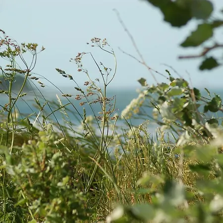 Ferienbauernhof Liesenberg Jagdreihenhaus Wildente Femern