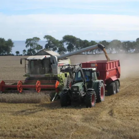 بيت للعطل Ferienbauernhof Liesenberg Jagdreihenhaus Wildente