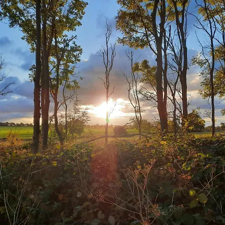 Ferienbauernhof Liesenberg Jagdreihenhaus Wildente فيهمارن