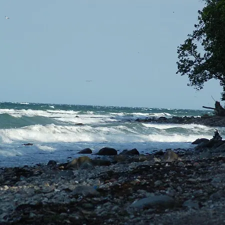 Ferienbauernhof Liesenberg Jagdreihenhaus Wildente بيت للعطل