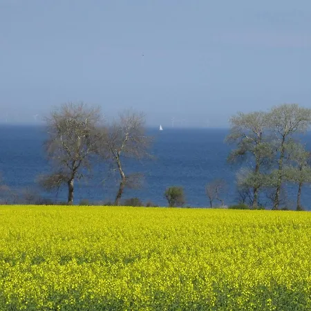 Ferienbauernhof Liesenberg Jagdreihenhaus Wildente Fehmarn